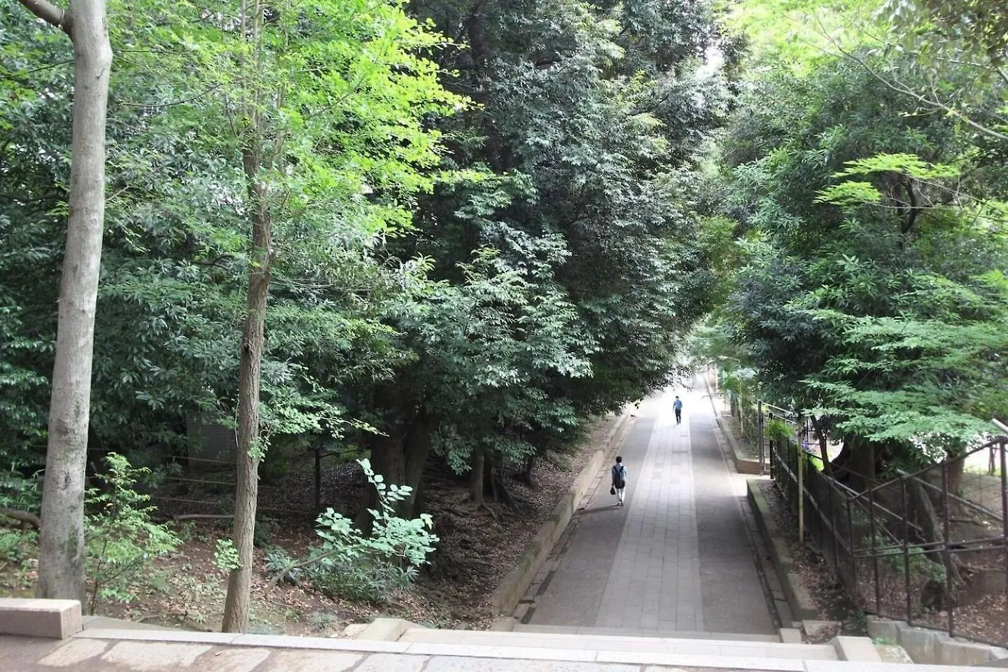 Apartment Building A101 / Vacation Stay 1275 Tokyo