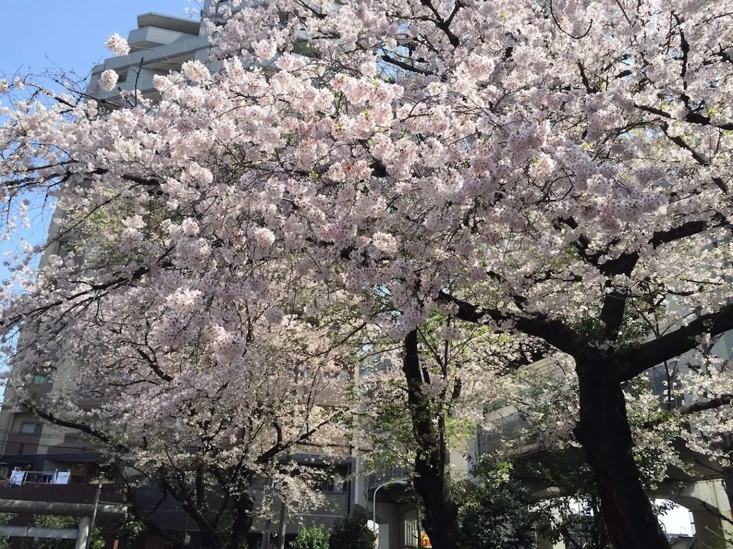 Building A101 / Vacation Stay 1275 Tokyo Apartment
